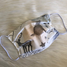 Into The Woods Face Mask- Adult